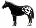 Horse Badge